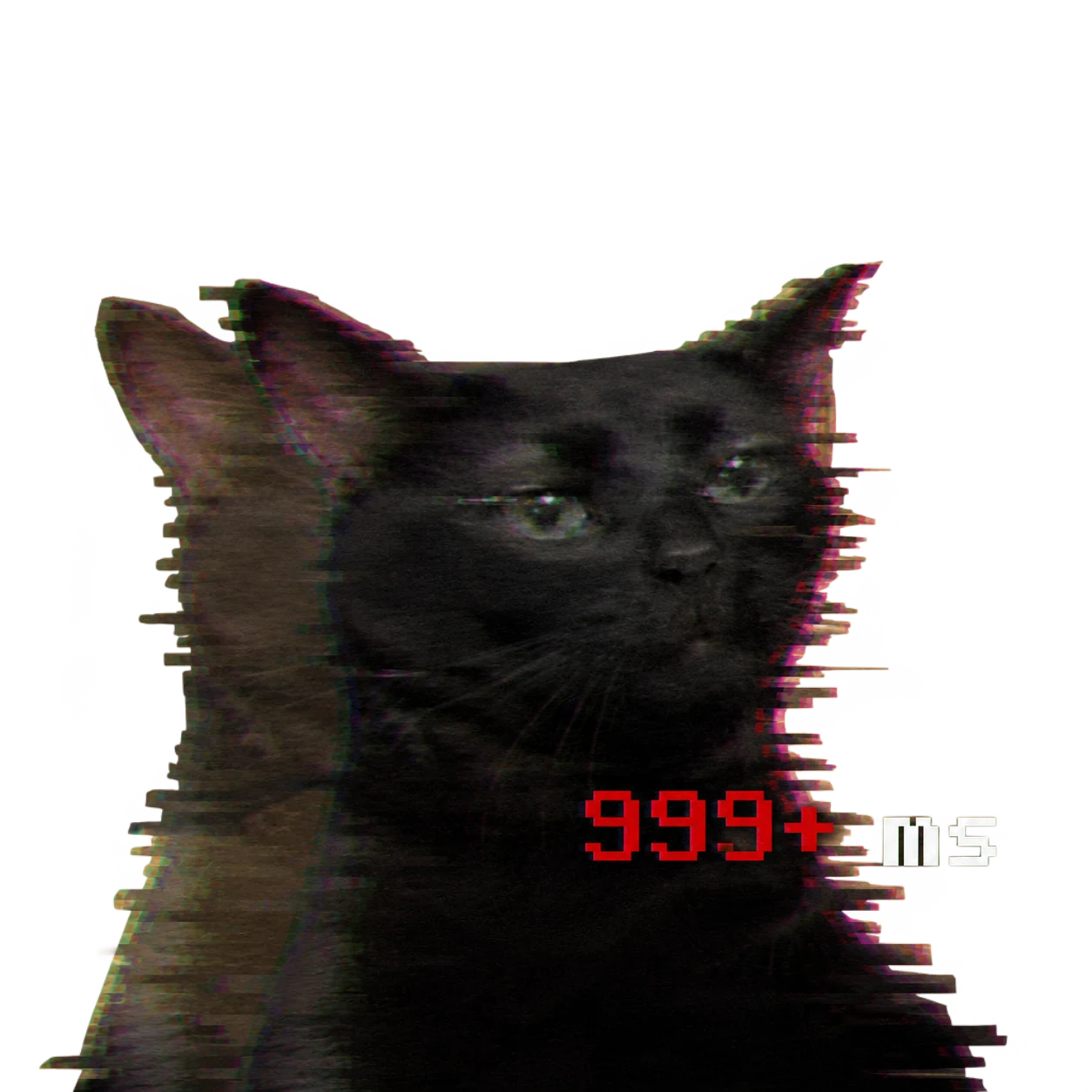 Ping Cat